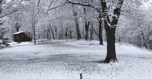 A snowy landscape with trees and a small wooden cabin in the background, creating a serene winter scene.