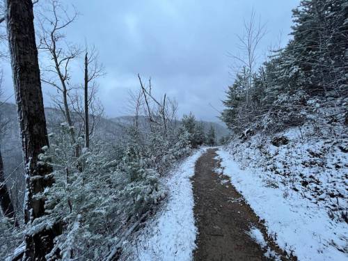 A snowy trail winds through a forest, with trees on either side and a cloudy sky overhead.