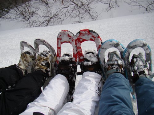 Four pairs of snowshoes on snowy ground, with legs of different colors and styles visible, surrounded by trees.