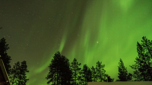 A vibrant green aurora borealis dances across a starry night sky, silhouetting dark pine trees below.