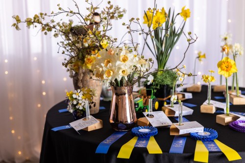 A table adorned with flowers and ribbons, featuring daffodils and decorative arrangements against a soft backdrop.