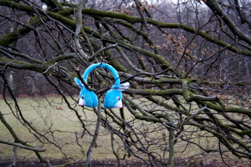 A pair of blue plush bunny ear headphones hanging on a bare tree branch in a park.
