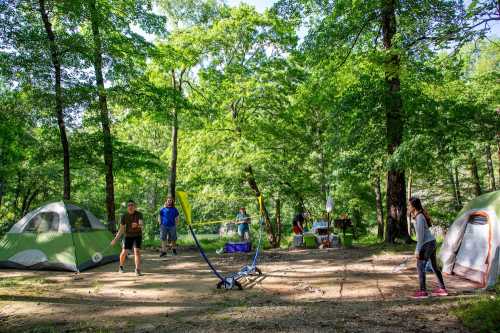 A group of people enjoying a sunny day at a campsite with tents, playing badminton and relaxing in a forested area.