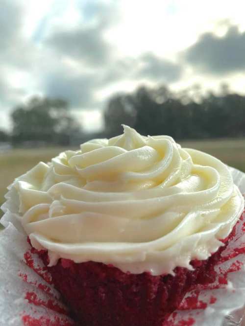 A close-up of a red velvet cupcake topped with creamy white frosting against a blurred outdoor background.