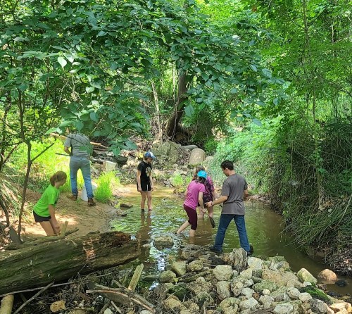A group of children and adults explore a shallow creek, surrounded by lush greenery and rocks.