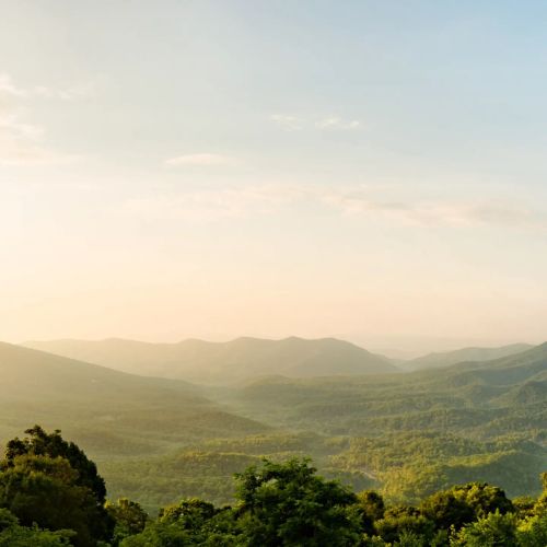 A serene landscape of rolling mountains under a soft, golden sky, with lush greenery in the foreground.