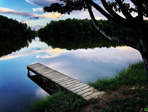A serene lake scene with a wooden dock extending into calm waters, surrounded by lush greenery and a colorful sky.