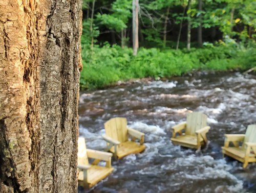 A close-up of a tree trunk with a flowing river and wooden chairs partially submerged in the water in the background.