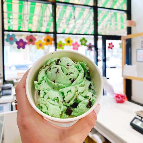 A hand holding a cup of mint chocolate chip ice cream, with colorful flowers in the background.
