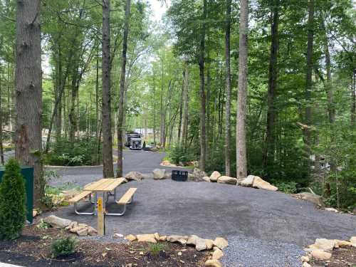 A gravel campsite surrounded by trees, featuring a picnic table and a view of a winding road in the background.