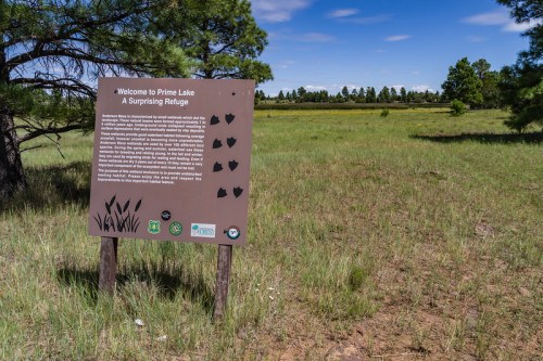 Sign at Prime Lake welcoming visitors, with grassy fields and trees in the background under a clear blue sky.