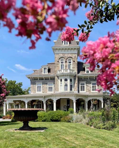 A grand Victorian-style house surrounded by blooming pink flowers and lush greenery under a clear blue sky.
