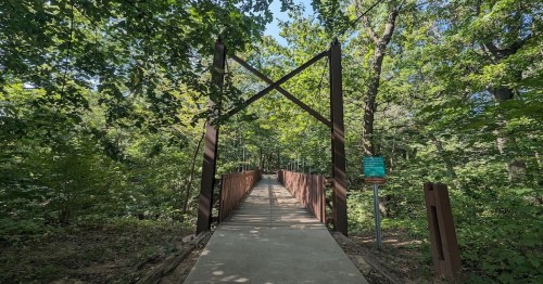 A wooden bridge leads through a lush green forest, framed by tall trees and dappled sunlight.