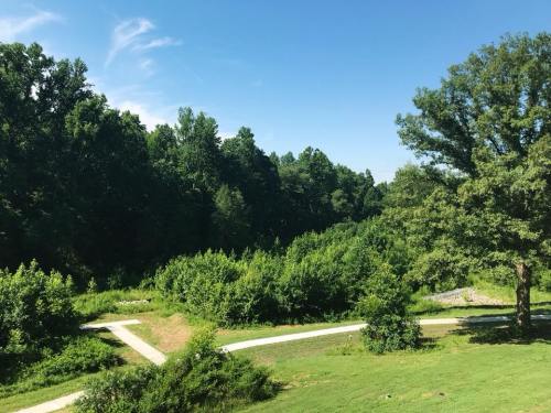 A scenic view of a green landscape with winding paths and dense trees under a clear blue sky.