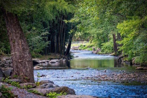 A serene river flows through a lush green landscape, surrounded by trees and rocks, creating a peaceful natural scene.