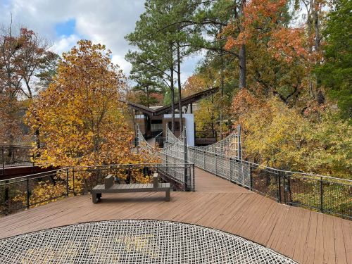 A wooden walkway with a netted area, surrounded by autumn trees and a modern building in the background.