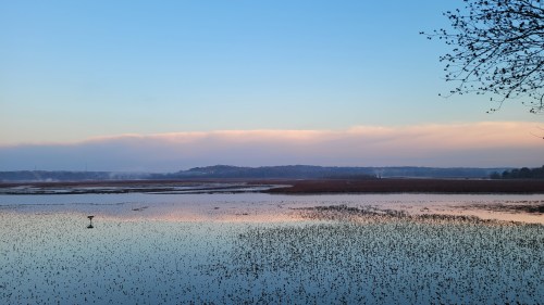 A serene landscape featuring calm water reflecting a pastel sky, with distant hills and sparse vegetation along the shore.