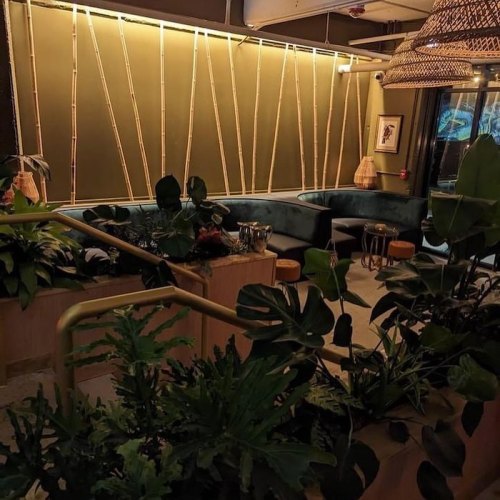 Cozy indoor seating area with bamboo accents and lush greenery, featuring a warm, inviting atmosphere.