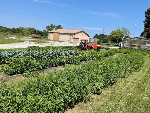 A sunny farm scene with rows of green crops and a tractor near a storage building and trees in the background.