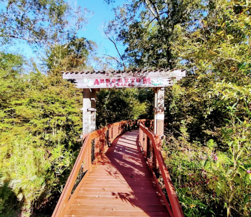 A wooden bridge leads into a lush, green forest with a sign reading "Arboretum" at the entrance.