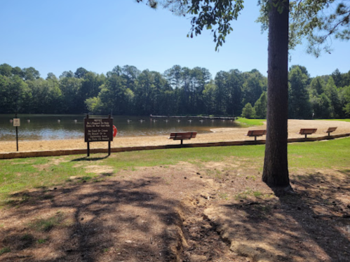 A serene lake with a sandy beach, surrounded by trees and benches, under a clear blue sky.