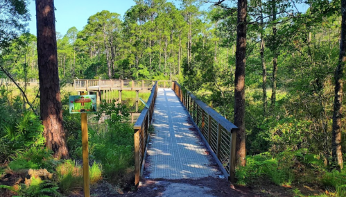 A wooden bridge leads through a lush green forest, surrounded by trees and vegetation.