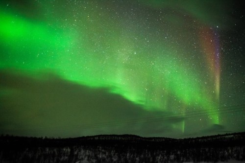 A vibrant display of the northern lights illuminates the night sky, with green and hints of red against a starry backdrop.