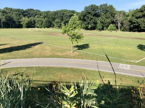 A grassy park with a soccer field, a lone tree, and a winding path surrounded by greenery under a clear blue sky.