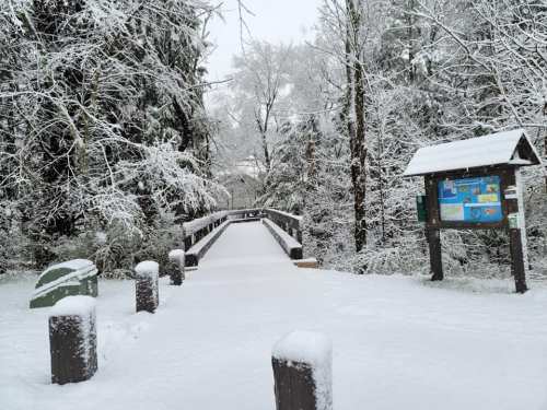 A snowy bridge leads into a winter forest, with trees and a sign covered in fresh snow.