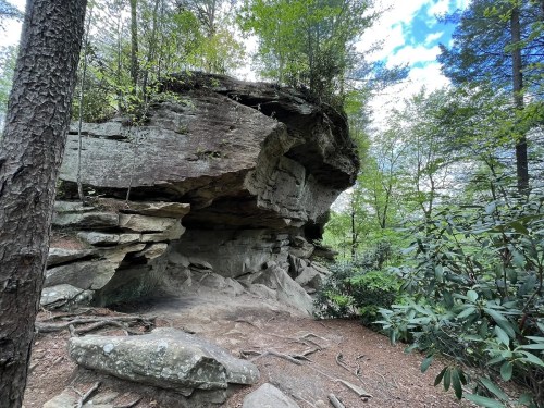 A large rock formation surrounded by trees and greenery, with a clear blue sky peeking through the foliage.