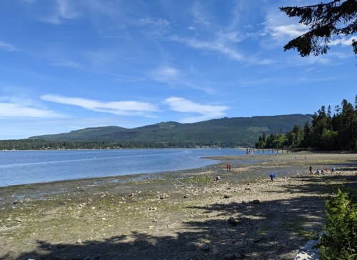 A scenic view of a calm lake with a sandy shore, surrounded by green hills and a clear blue sky. People explore the shoreline.