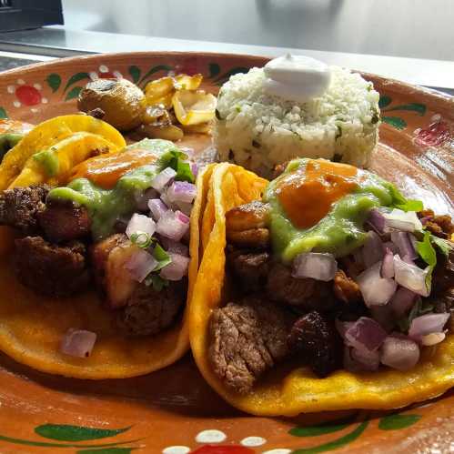 Two tacos filled with meat, onions, and green sauce, served with rice and a dollop of sour cream on a decorative plate.