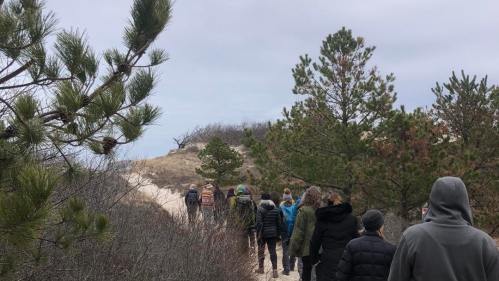 A group of people walking along a sandy path surrounded by trees on a cloudy day.