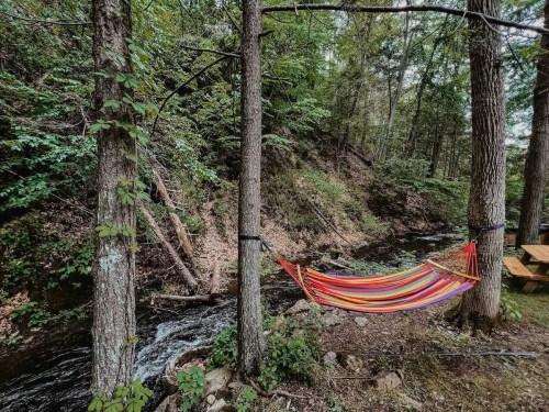A colorful hammock hangs between two trees by a flowing creek, surrounded by lush green foliage.