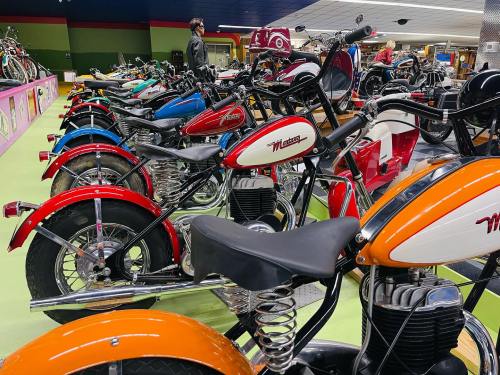 A row of vintage motorcycles in a colorful display at a bike shop, showcasing various styles and colors.