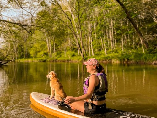 A woman and her dog sit on a paddleboard in a serene river surrounded by lush greenery.