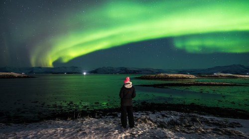 A person stands on a snowy shore, gazing at vibrant green auroras dancing in the night sky over a calm sea.