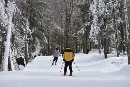 Two skiers navigate a snowy trail surrounded by trees, with a winter landscape in the background.