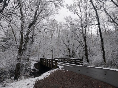 A snowy landscape featuring bare trees and a wooden bridge over a small stream, with a dark, wet road nearby.
