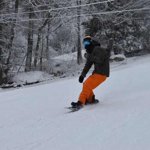A snowboarder in a winter landscape, wearing a dark jacket and orange pants, glides down a snowy slope.
