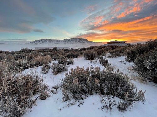 A snowy landscape with shrubs in the foreground and a colorful sunset over a distant mountain.