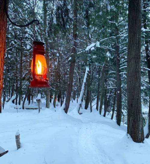 A red lantern glows warmly in a snowy forest, surrounded by tall trees and a winding path.