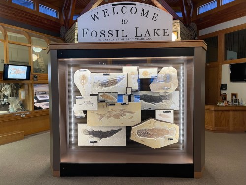 Display case at Fossil Lake showcasing various fossilized fish and information about the site’s prehistoric history.