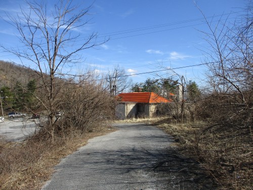 A narrow path leads to a small, weathered house surrounded by bare trees and overgrown vegetation under a blue sky.