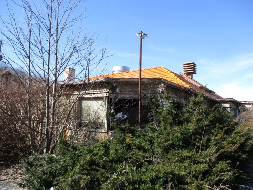 An abandoned house with an orange roof, surrounded by overgrown bushes and trees under a clear blue sky.