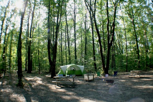 A green tent set up in a wooded campsite with picnic tables and a fire pit surrounded by tall trees.