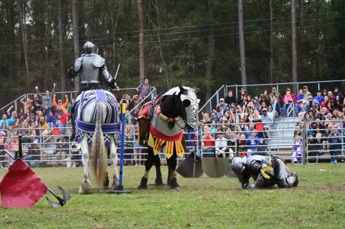 A jousting event with knights in armor, a cheering crowd, and a fallen knight on the ground beside a horse.