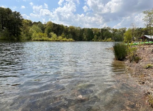A serene lake surrounded by trees under a partly cloudy sky, with clear water and a sandy shore.