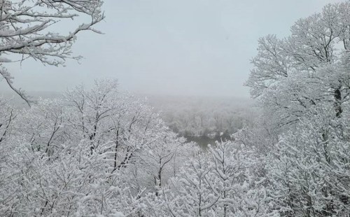 A snowy landscape with trees covered in white, creating a serene winter scene under a gray sky.
