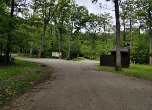 A gravel path splits into two directions, surrounded by lush green trees and a small building in the background.